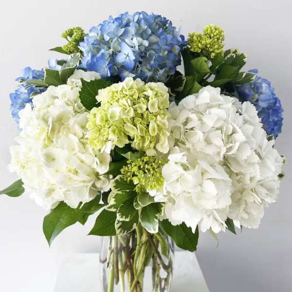 Blue and white hydrangea bouquet in a clear glass vase