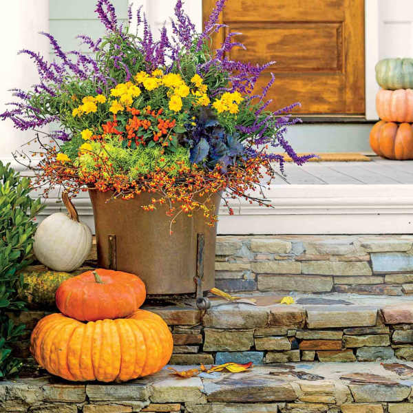 Fall planter with purple spikes and yellow flowers in a metal pot beside pumpkins