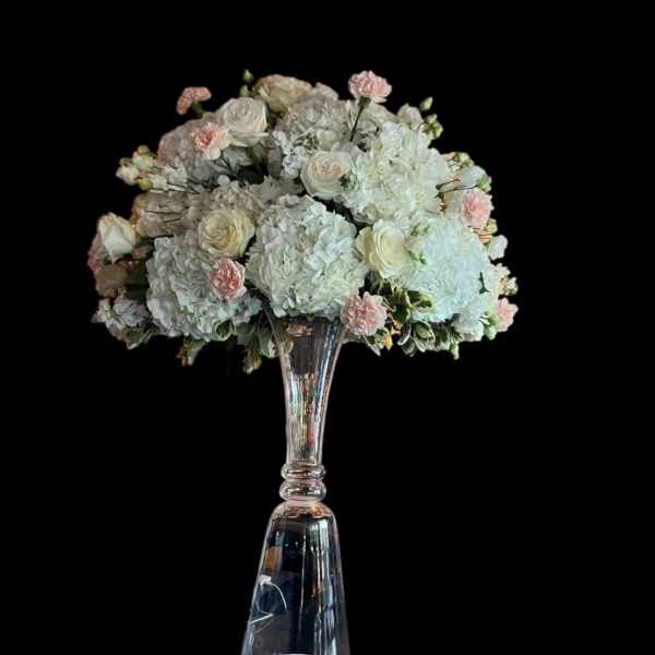 Delicate Dreams