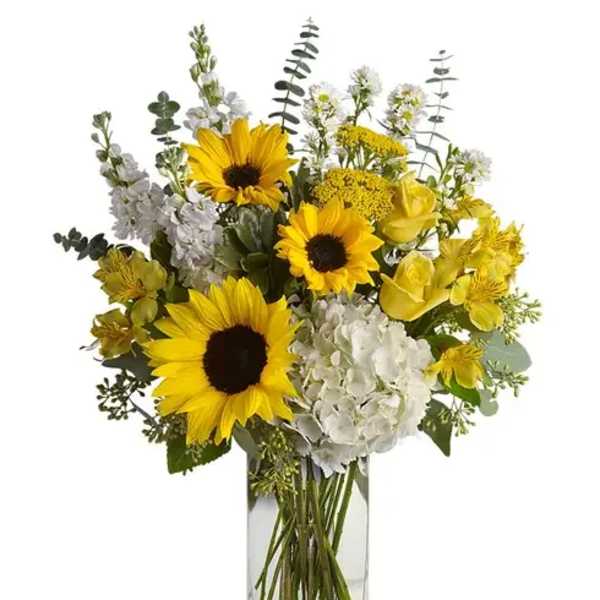 Sunflower Yellow Bliss