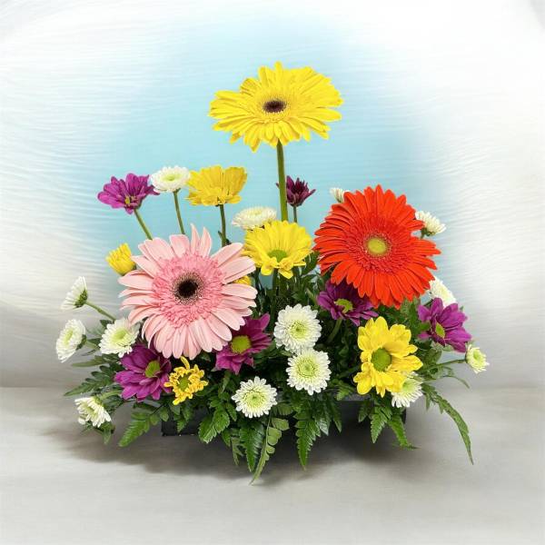 Colorful gerbera daisy arrangement in a low rectangular container