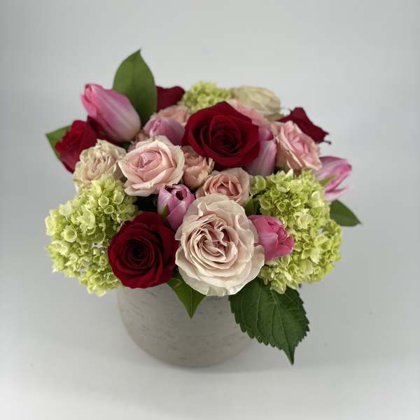 Amor