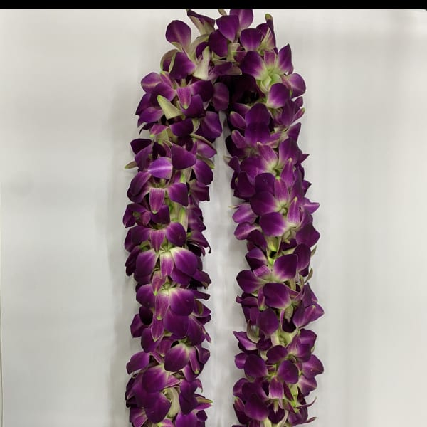 Purple orchid lei on a white background