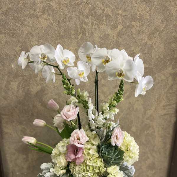 White orchids and pale pink flowers in a pink vase