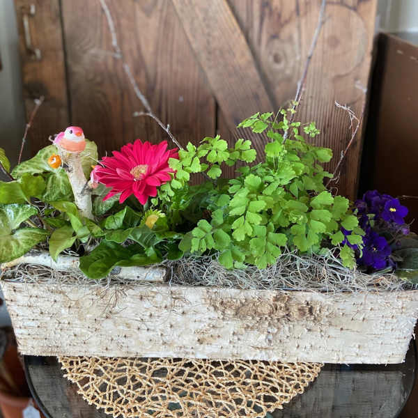 Rectangular birch planter with pink gerbera daisy, purple flowers, and assorted plants