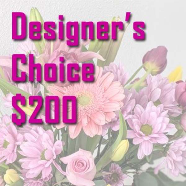 Designer's Choice - $200