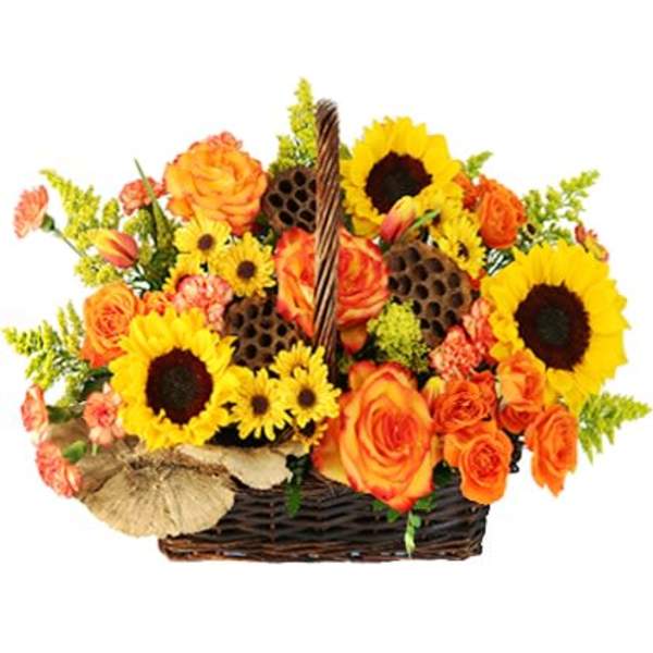 CRISP AUTUMN MORNING BASKET OF FLOWERS