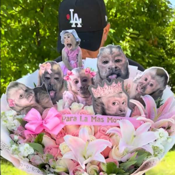 Pink bouquet with lilies, roses, and monkey cutouts