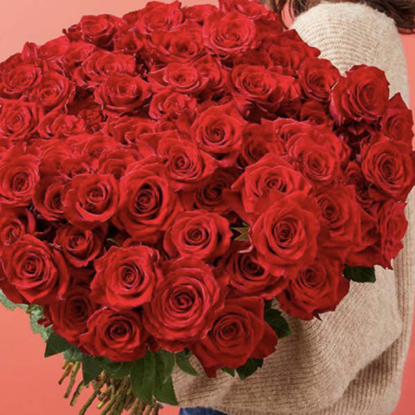 Large bouquet of red roses held in arms