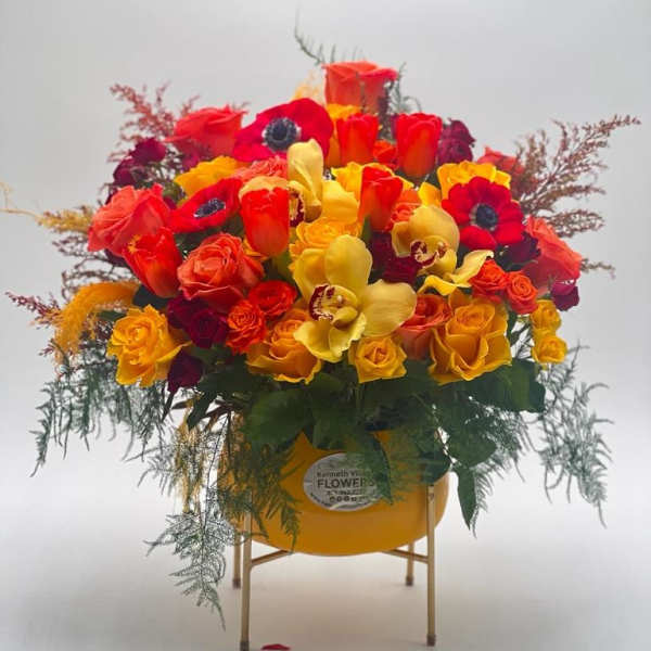 Morning Glory