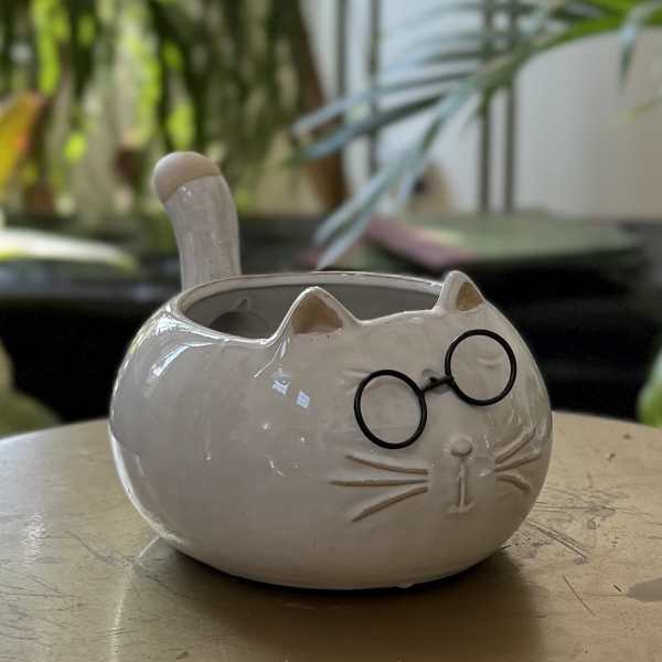 White cat-shaped ceramic planter with round glasses