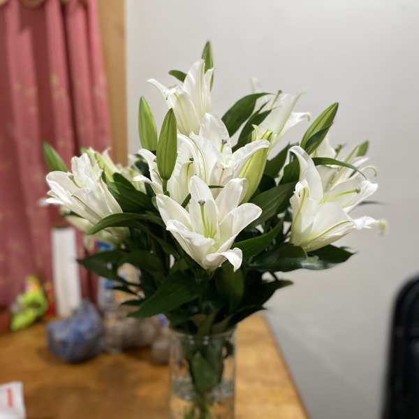 Lillys
