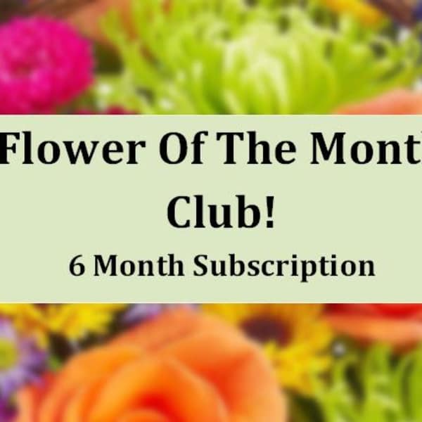 Flower of the Month Club 6 Month Subscription text over a blurred floral background