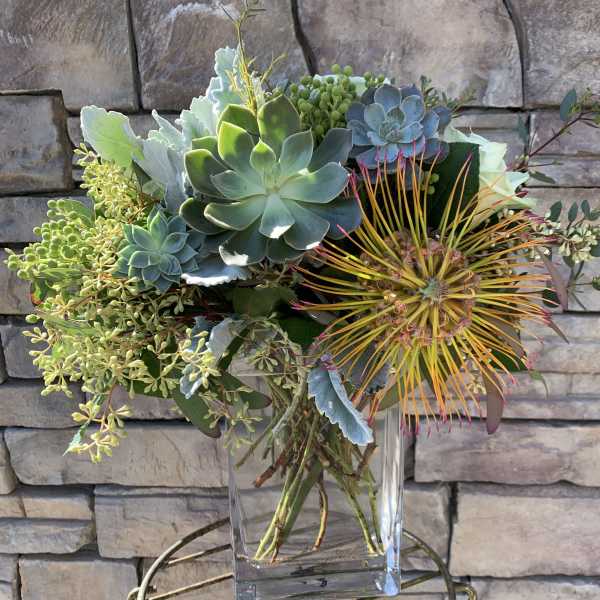 Scottsdale Desert