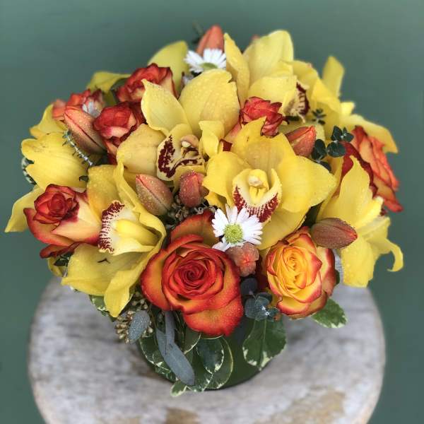 Roses Tulips and Everything Nice