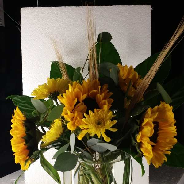 Set in the Sun