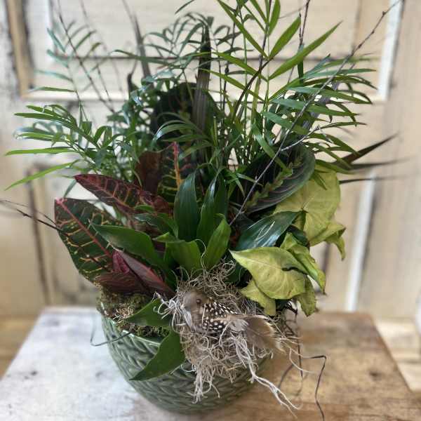 Mixed tropical plants in a glass bowl with a small bird decoration