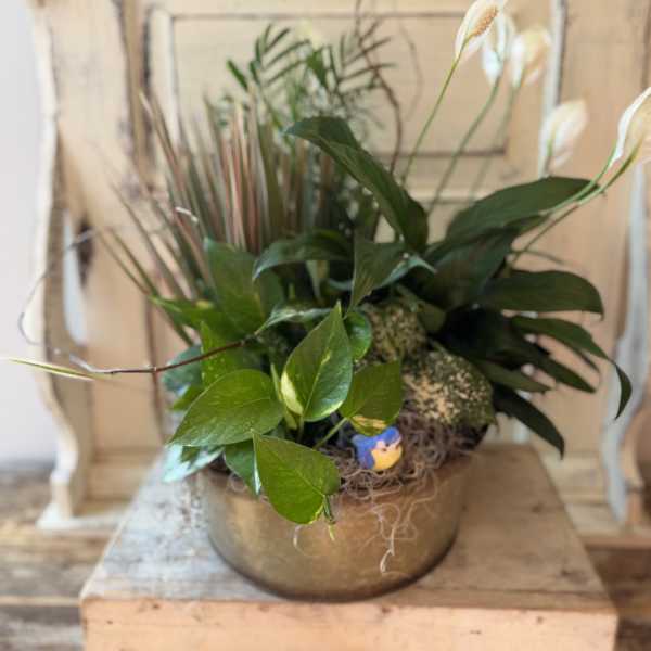 Mixed potted plant arrangement with white peace lilies in a round bowl