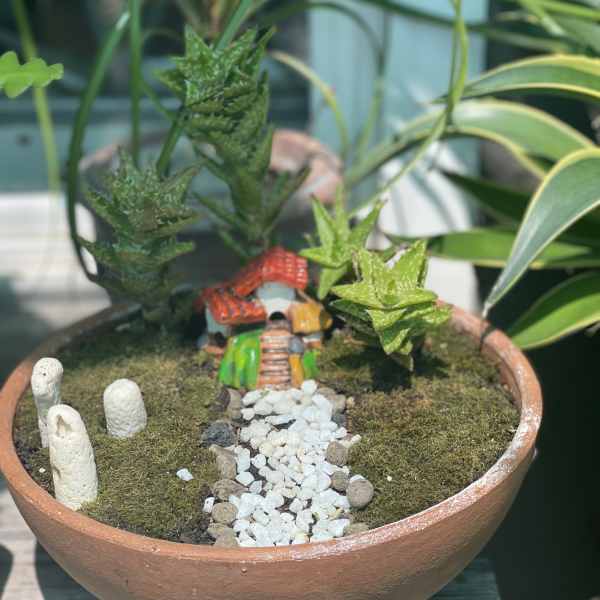Miniature potted garden with a tiny house and pebble path