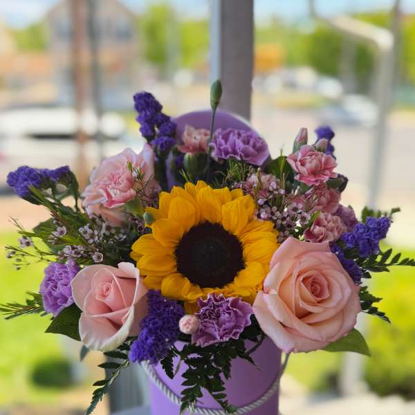 Violeta