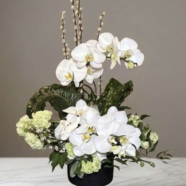 White orchid arrangement in a black pedestal vase with green accents