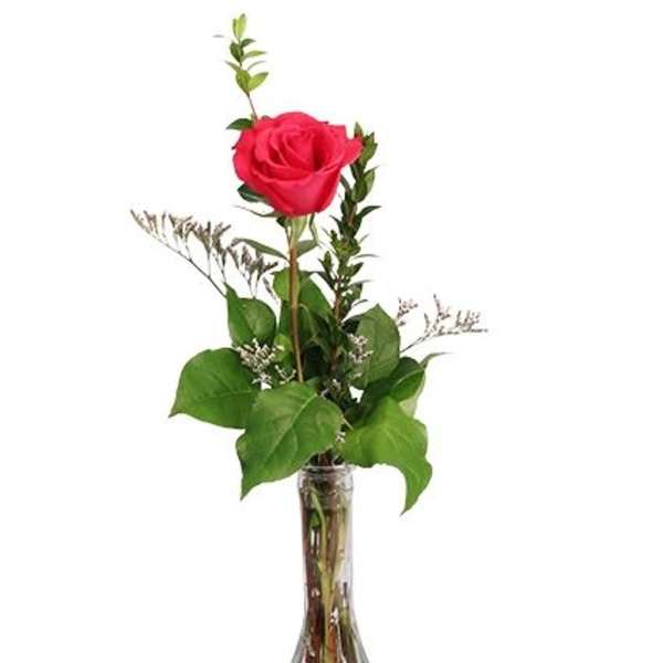 Single Rose In Vase