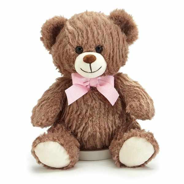 Brown teddy bear with a pink bow on a white background