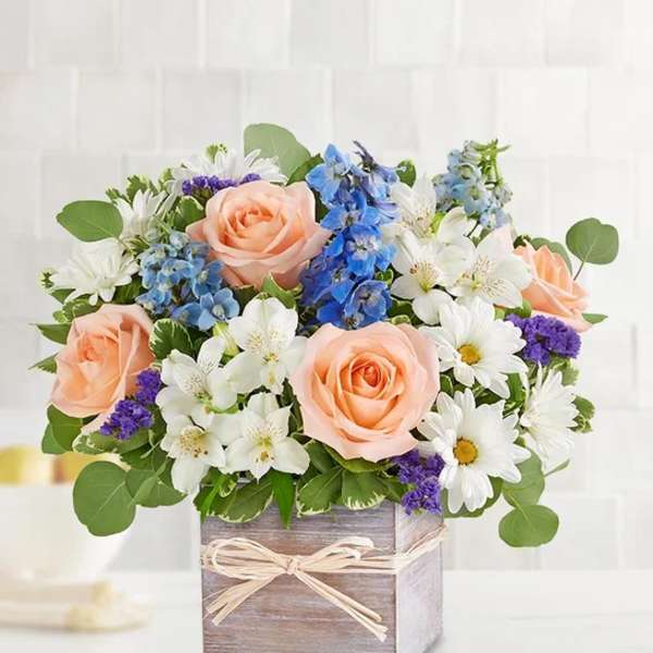 Coastal Breeze