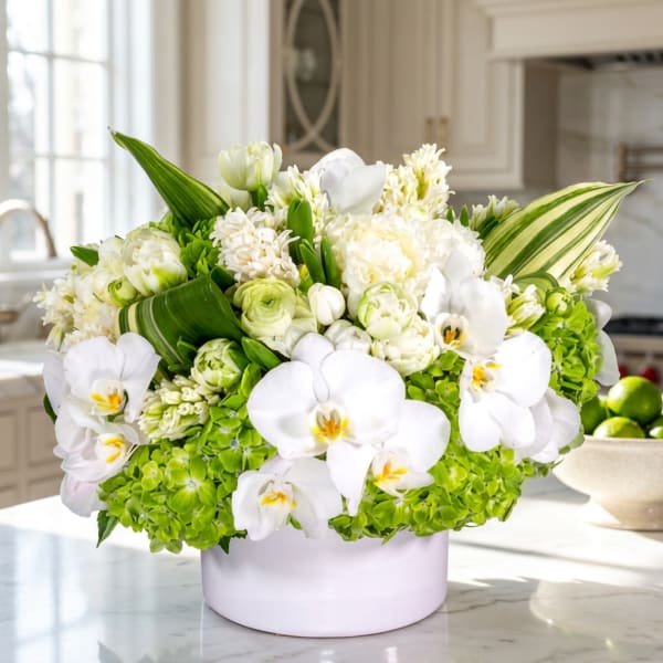 White orchids and green hydrangeas in a pale vase