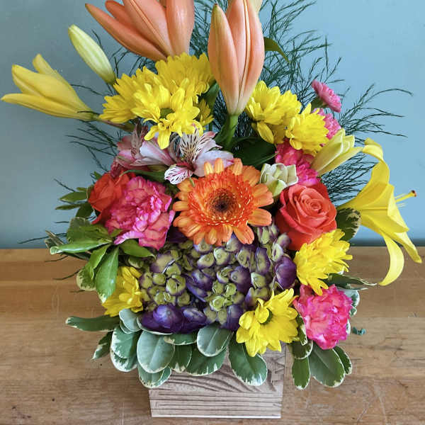Colorful Summer Vibe