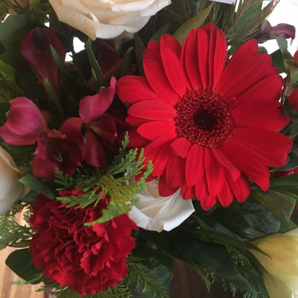 Bouquet of red gerbera daisies, white roses, and red carnations