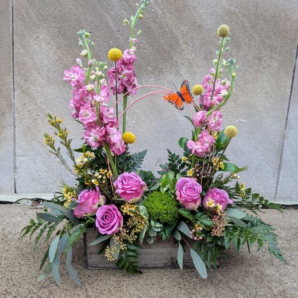 You are my Sunshine