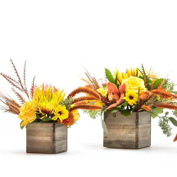 Three floral arrangements in wooden cube vases with yellow and orange blooms