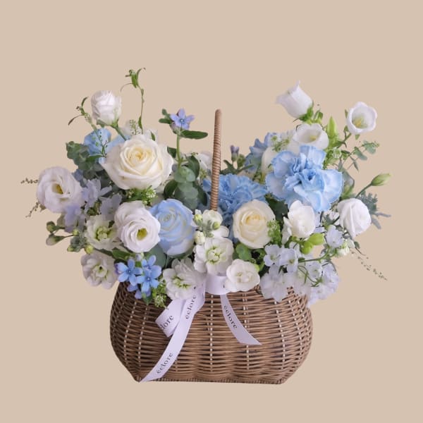 Blue Baby & Basket