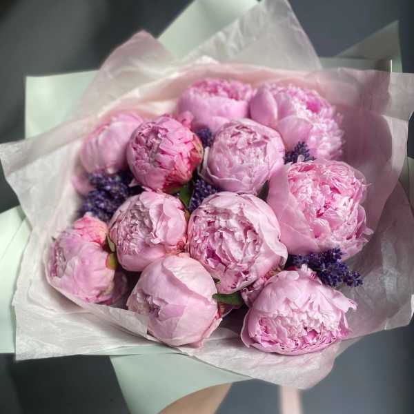 Bouquet of pink peonies wrapped in pale paper