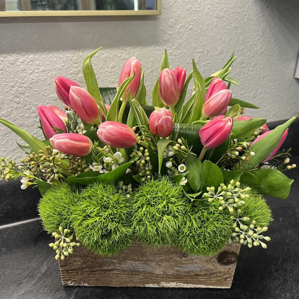 Tulip Garden