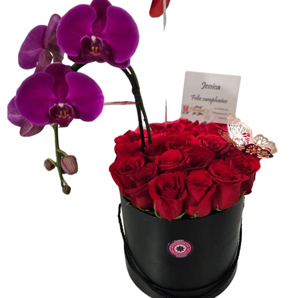 Elegancia Real