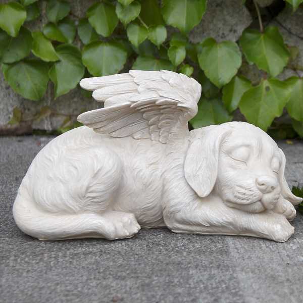 Sleeping Angel Dog