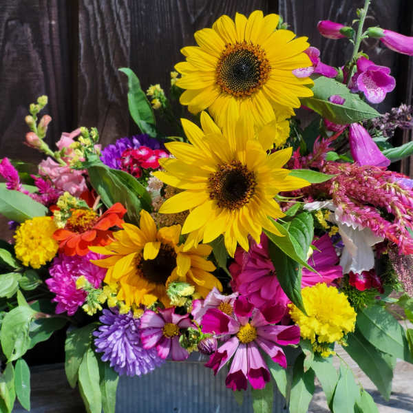 Mixed bouquet with sunflowers and colorful blooms in a metal container