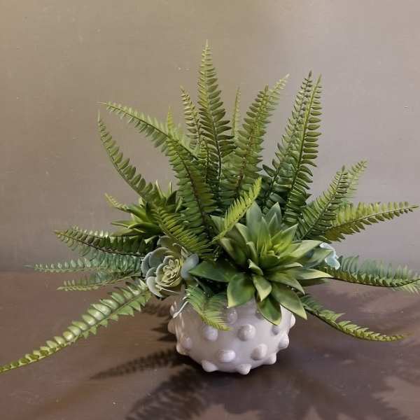 Succulent arrangement with fern fronds in a white textured pot