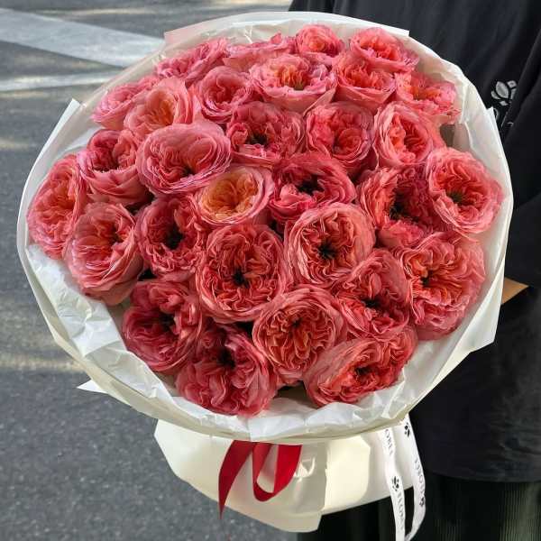 Bouquet of pink ranunculus wrapped in white paper with a red ribbon