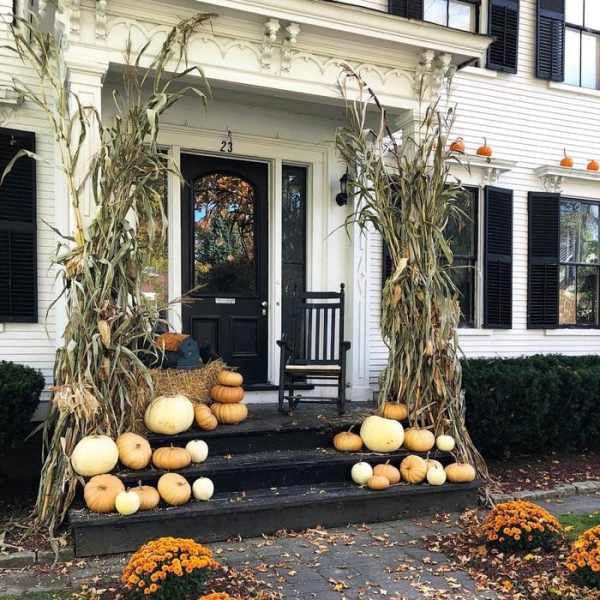 Front porch decorated with cornstalks, pumpkins, and orange mums
