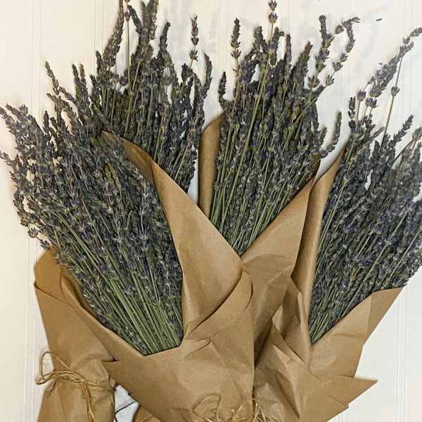 Three wrapped lavender bundles tied with twine