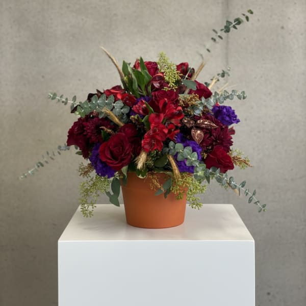 Red and purple floral arrangement in a terracotta pot