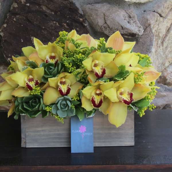 Yellow orchids arranged in a wooden box with succulents