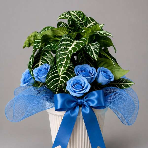 Blue by You