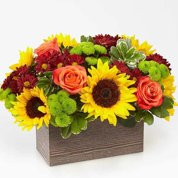 Sunflower and rose arrangement in a rectangular wooden box