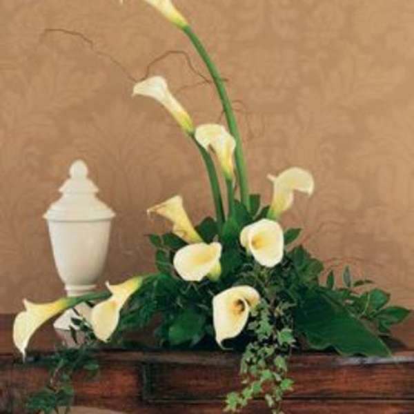 White calla lilies arranged in a wooden planter with trailing greenery