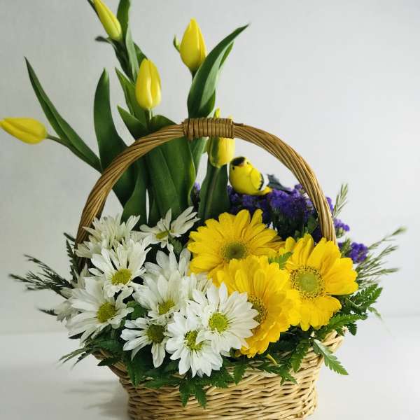 Basket arrangement with yellow tulips and white daisies