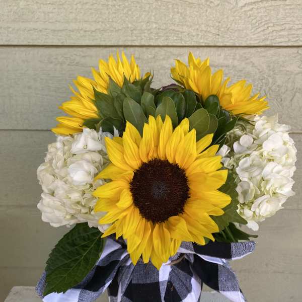 Where The Buffalo Roam